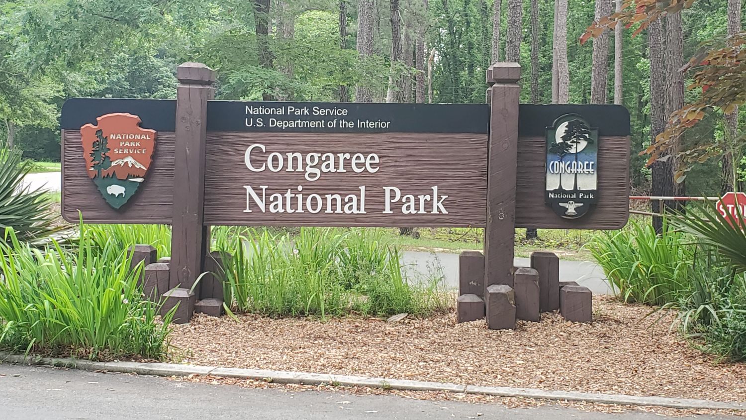 Congaree NP 